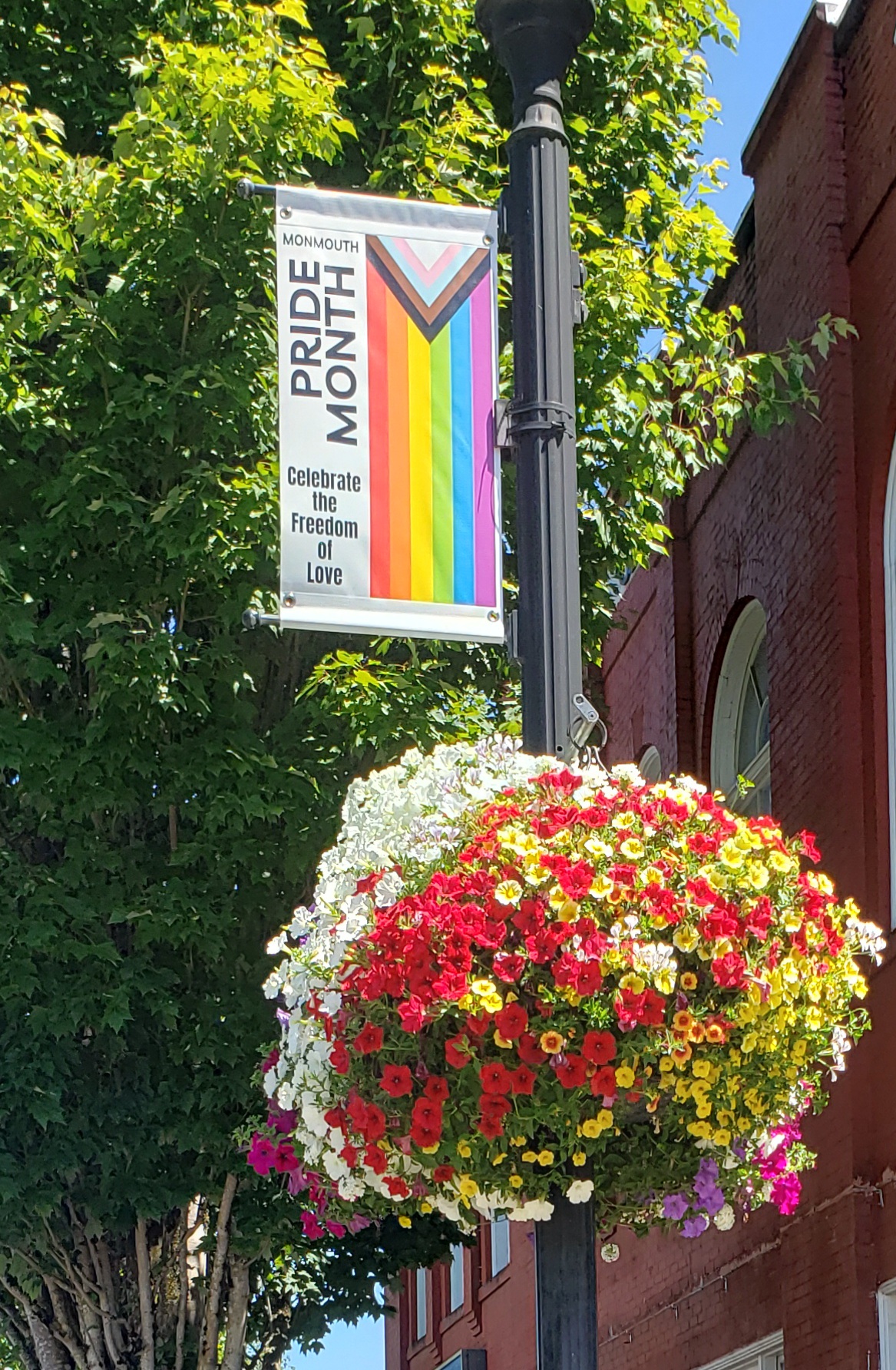 A street banner with the Pride flag that reads 'Monmouth Pride Month - Celebrate the Freedom of Love'